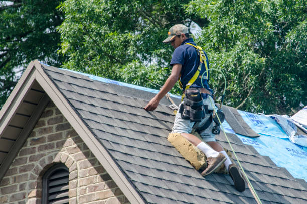 Quick and Trustworthy Emergency Roof Repair Services in North Myrtle Beach, SC